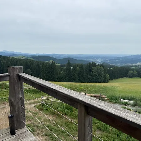 Trakehnerstueberl * Kemetberg