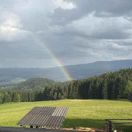 Trakehnerstueberl Kemetberg